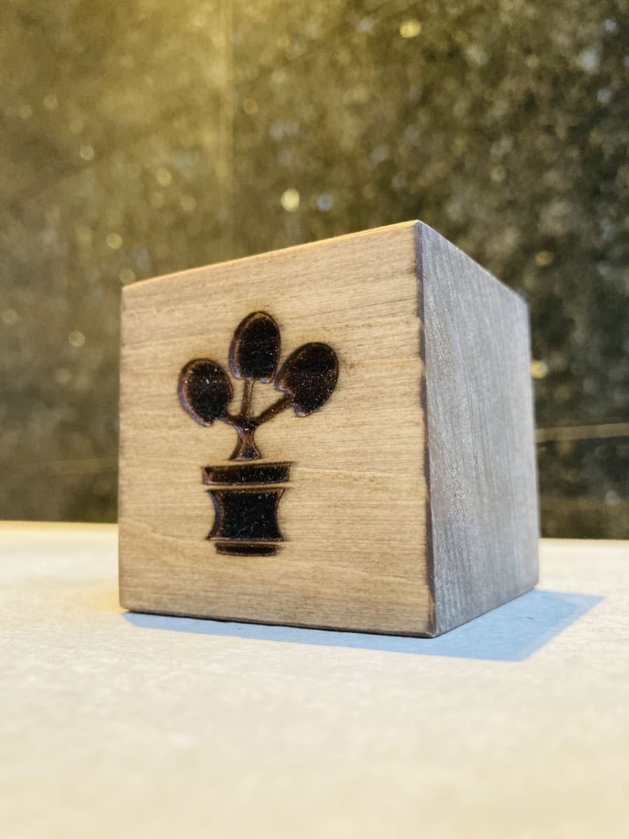 kinoco × RLF CUBE 検) 植木鉢　rawlifefactory invisibleink toky コーデックス アガベ 塊根植物　y鉢