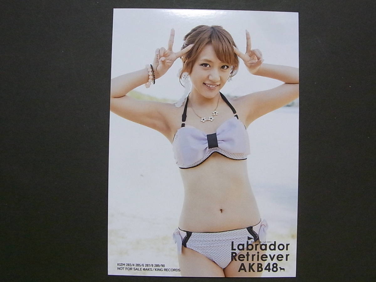 AKB48 高橋みなみ「ラブラドール レトリバー」通常盤 特典生写真