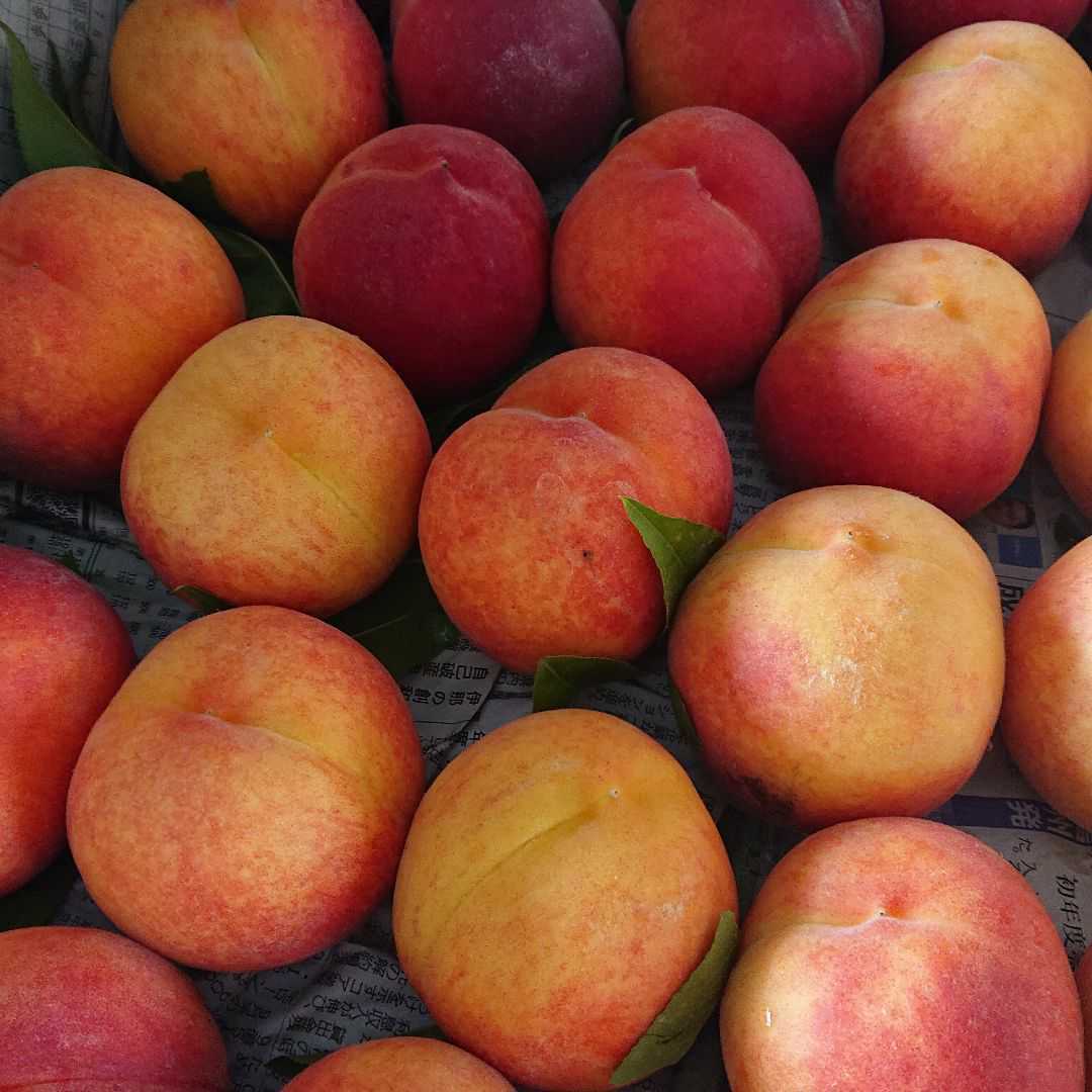 1230_8288691ec1d103189723557434