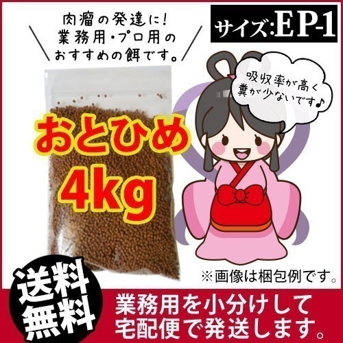 豊富な，格安 104-11-009 宅配便 東北 北海道 沖縄は発送不可 日清丸紅飼料おとひめEP1 沈降性 4kg 金魚小屋-希-福岡(エサ)｜売買されたオークション情報、yahooの商品情報をアーカイブ公開 - オークファン エサ