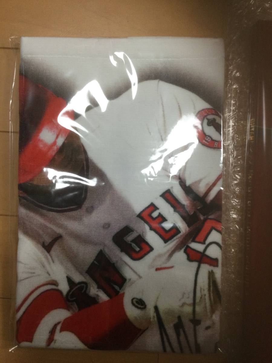 切手17 Z417-Zero Detent Torque Motor | MOONS'