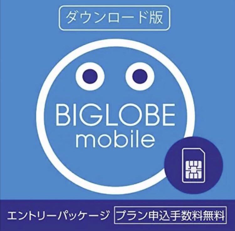 ドレスプラス韓国 Oln 新到着卸売スリム気質ビッグローブホリデー旅行国家のスタイルビッグ女性のための 注目 新到着卸売スリム気質 ビッグローブホリデー旅行国家のスタイルビッグ女性のための