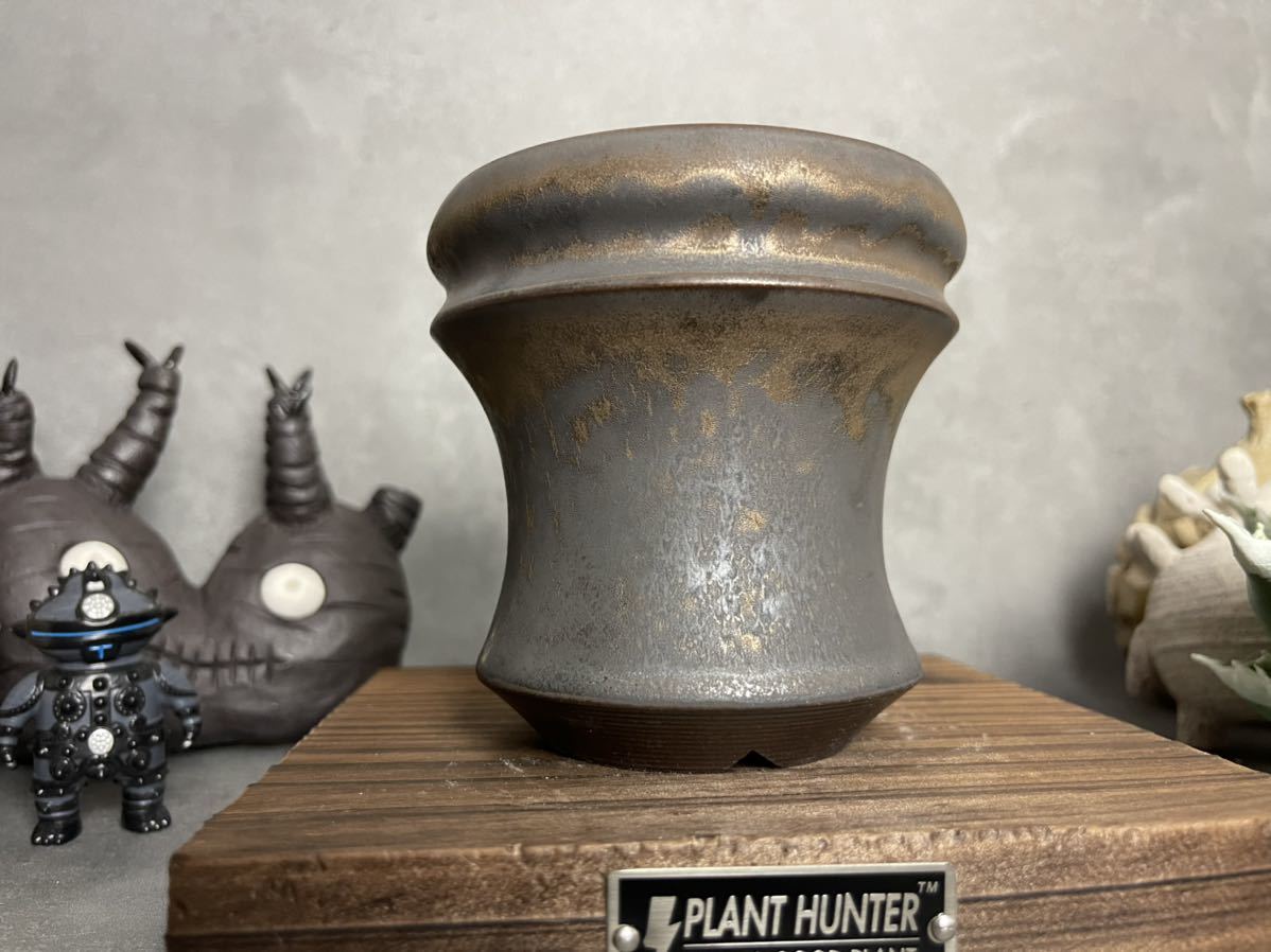 PLANT HUNTER 植木鉢 検索（RLF カタチ製作所 中川智治 パキポディウム