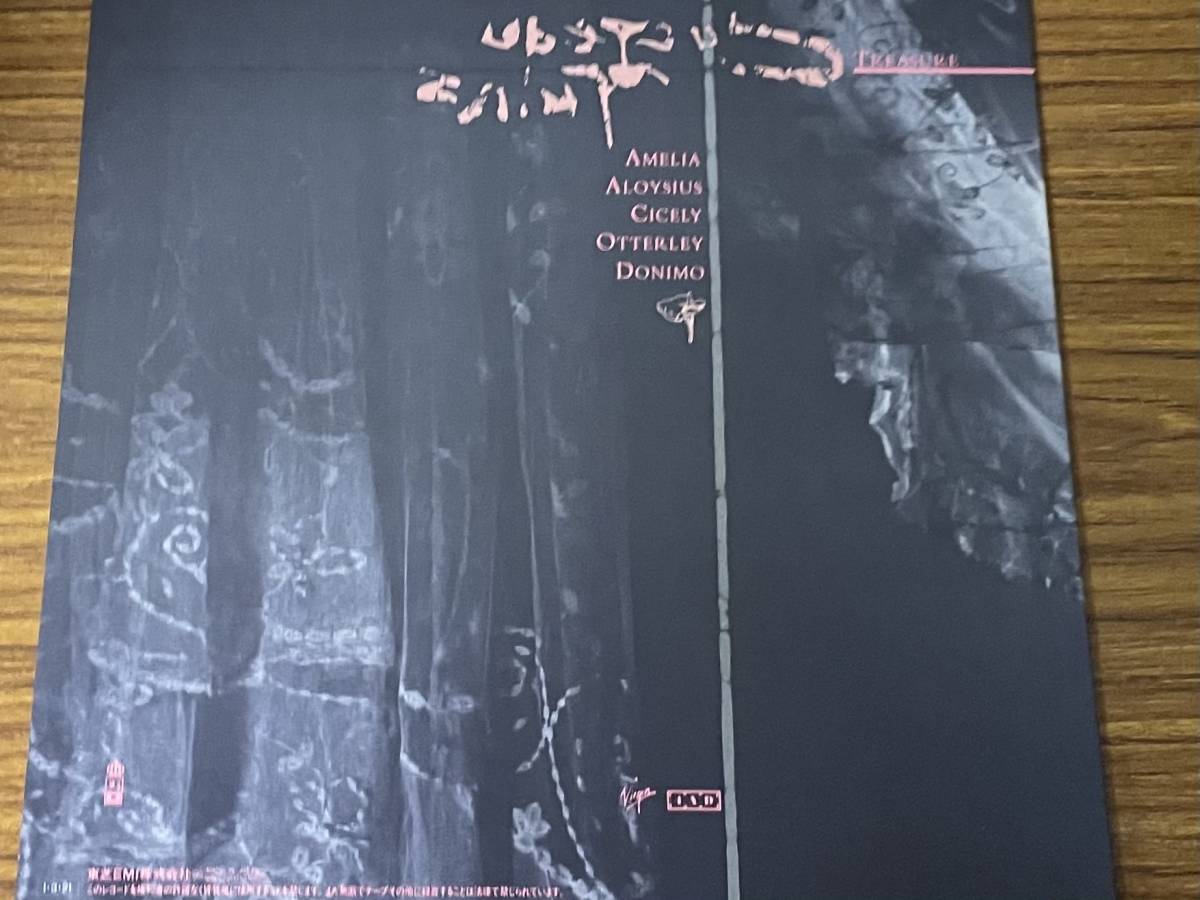 Cocteau Treasure Twins - – 公式通販 CD ⁄ コクトー・ツインズ 神々が