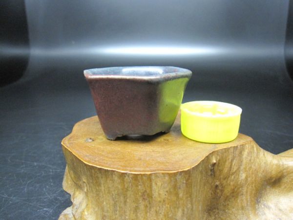 宇野登 小品盆栽鉢 植木鉢 10点セット 鉢2個セット 盆栽鉢植木