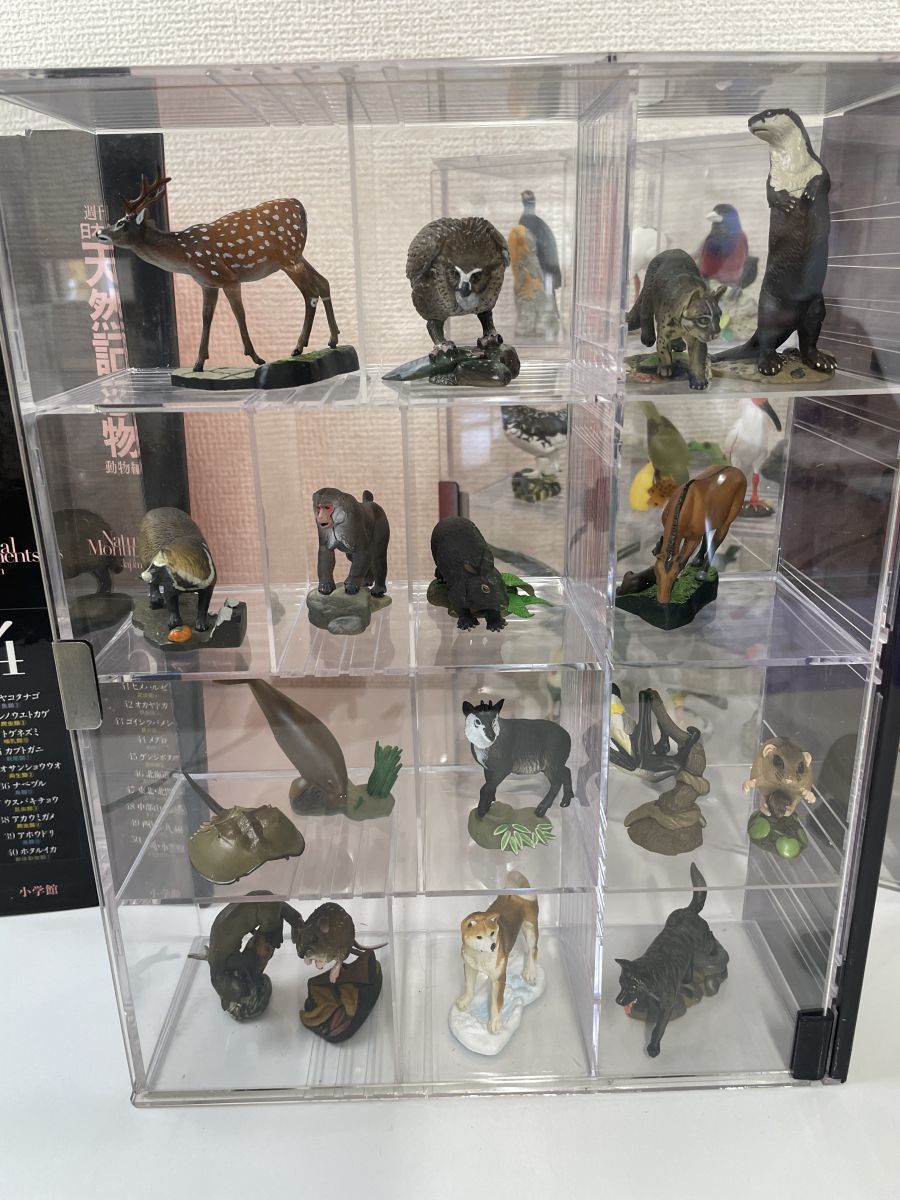 週刊 日本の天然記念物／フィギュア全50点+専用ケース＋冊子／全巻揃