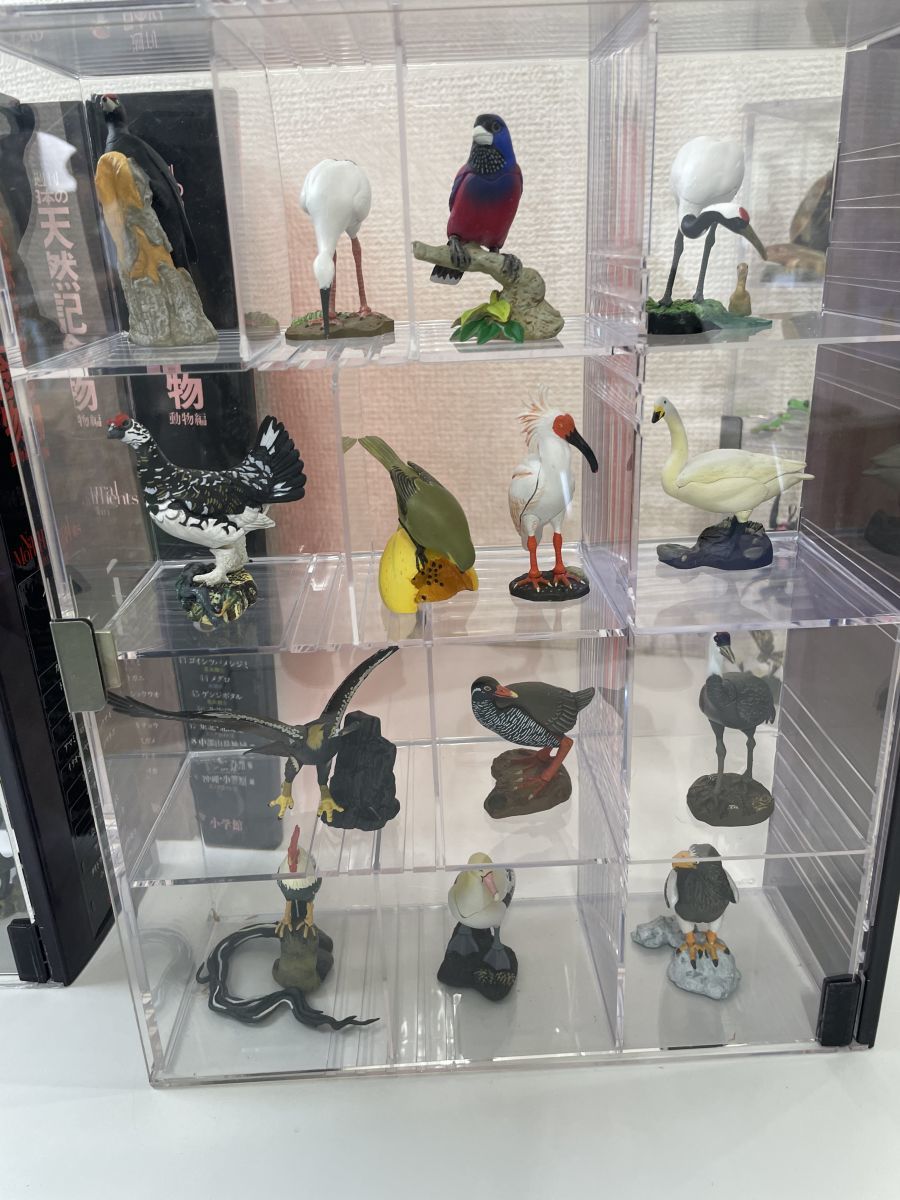 週刊 日本の天然記念物／フィギュア全50点+専用ケース＋冊子／全巻揃