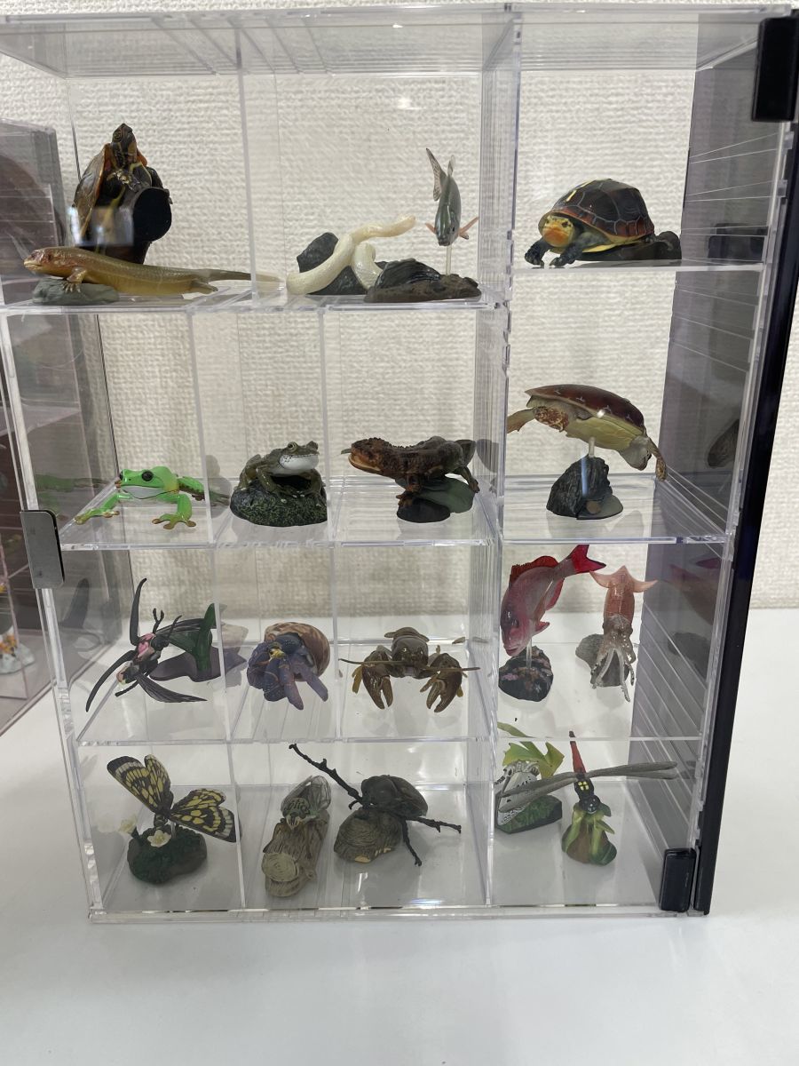 週刊 日本の天然記念物／フィギュア全50点+専用ケース＋冊子／全巻揃