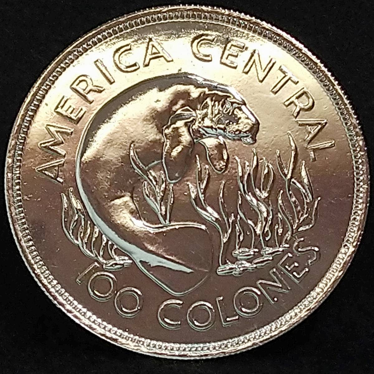 コスタリカ銀貨 1974年 100コロン世界自然保護基金創立記念銀貨 銀貨