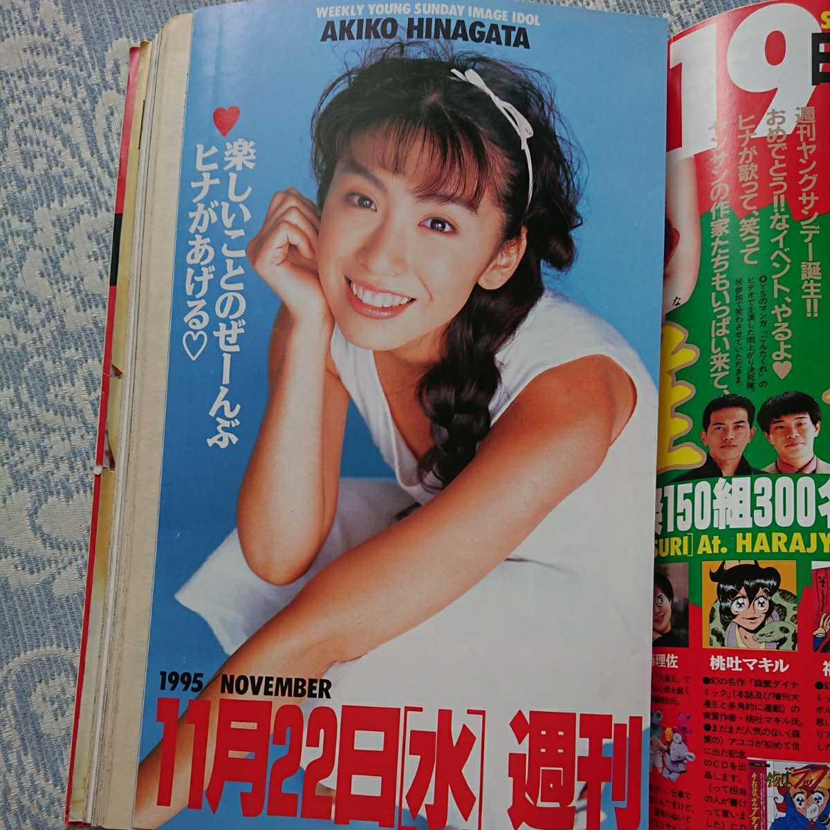 ヤングサンデー 1995年11/9 青木裕子(ヤングサンデー)｜売買された