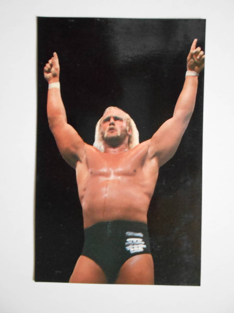 ハルク・ホーガン カード 1枚 新日本プロレス(格闘技、プロレス)｜売買