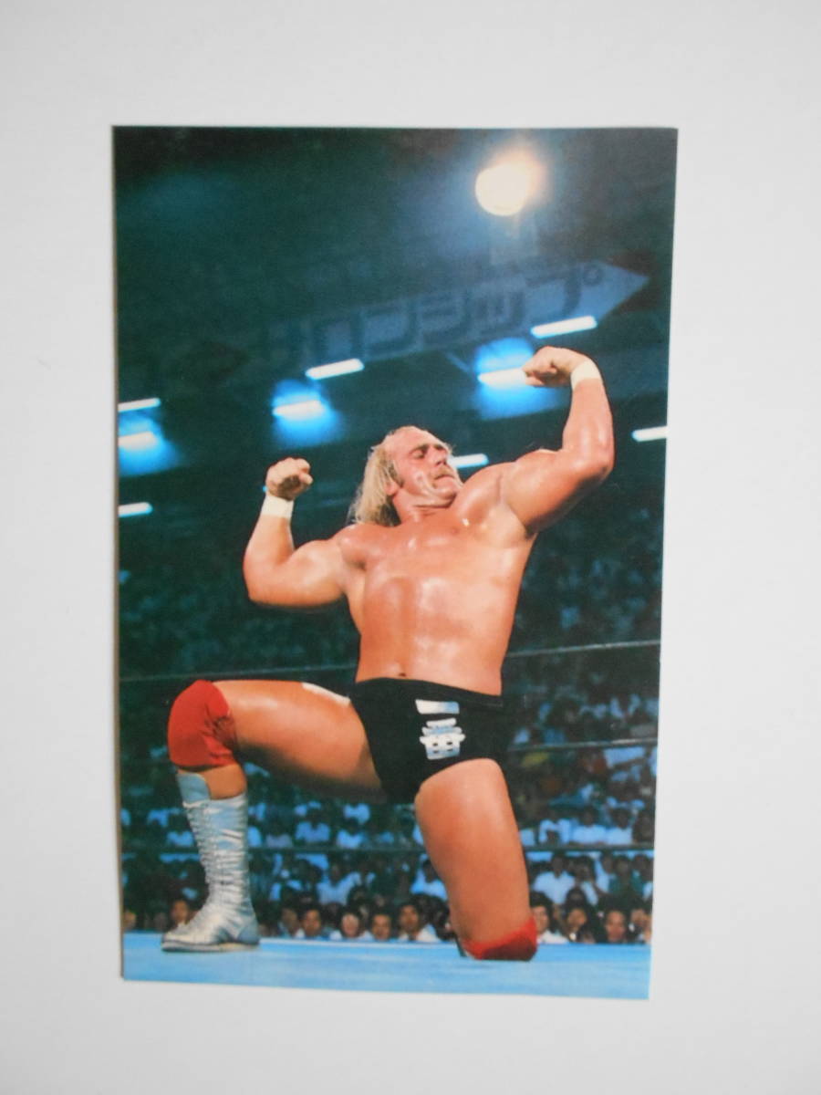 ハルク・ホーガン カード 1枚 新日本プロレス(格闘技、プロレス)｜売買