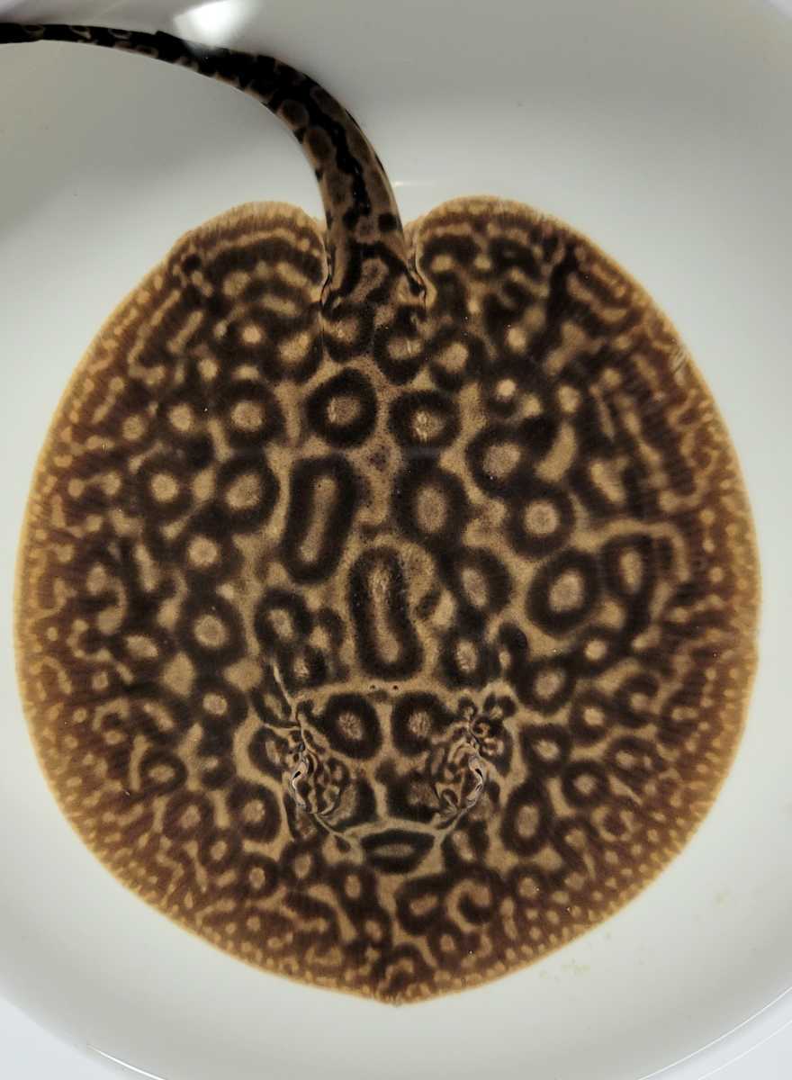1637751882_b