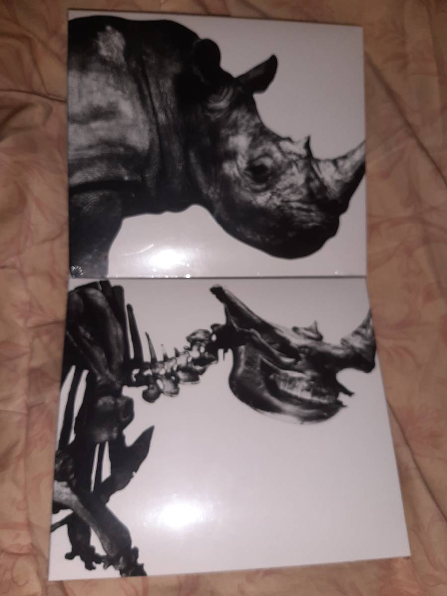 超激得，爆買い Mr. Children 1992 - 1995 1996 - 2000 ミスチル ミスターチルドレン ベスト best(Mr.Children)｜売買されたオークション情報、yahooの商品情報をアーカイブ公開 - オークファン ま行