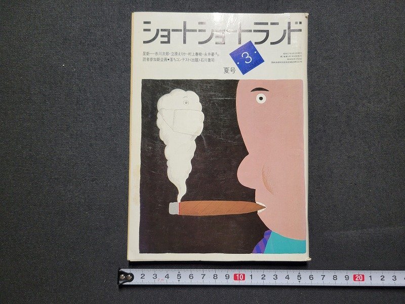赤川次郎や村上春樹等の小説