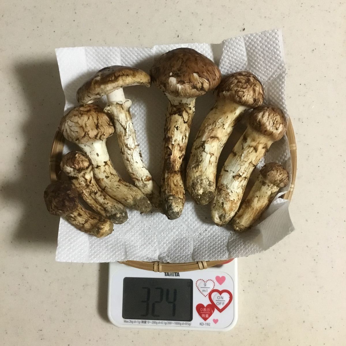 長野県安曇野産 松茸 10月15日 324g 送料無料長野県産松茸 200g 
