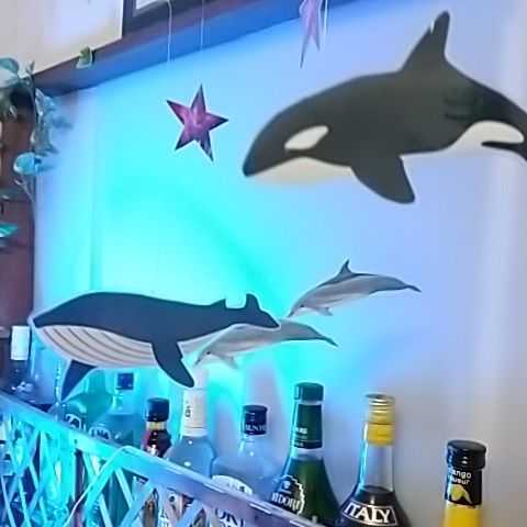 ラッセン クジラの値段と価格推移は？｜2件の売買データからラッセン