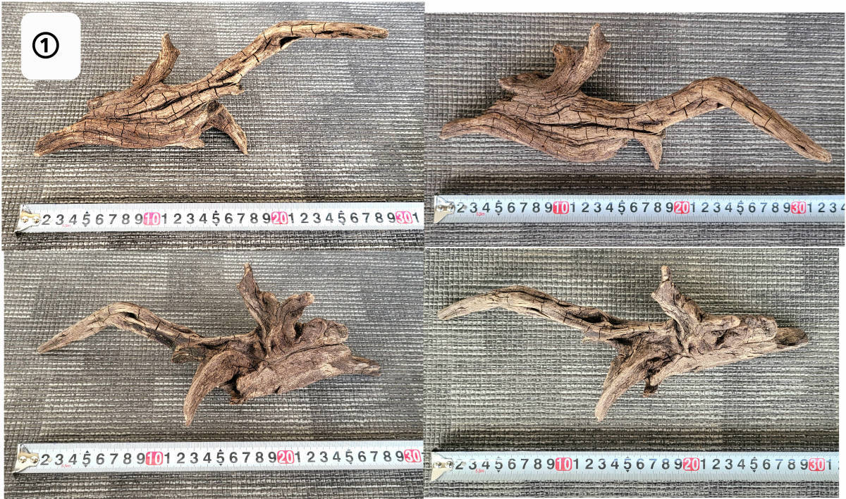 ADA ホーンウッド HORN WOOD 大きめサイズ5本セット 未使用 流木 写真