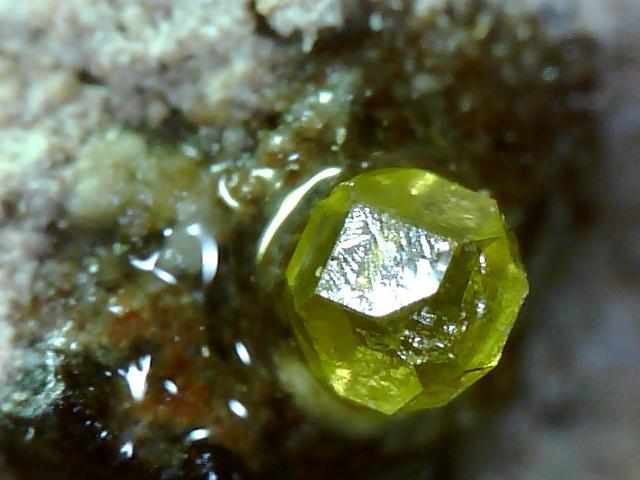 岐阜県根尾谷産菊花石 グレー母岩白菊 自然石