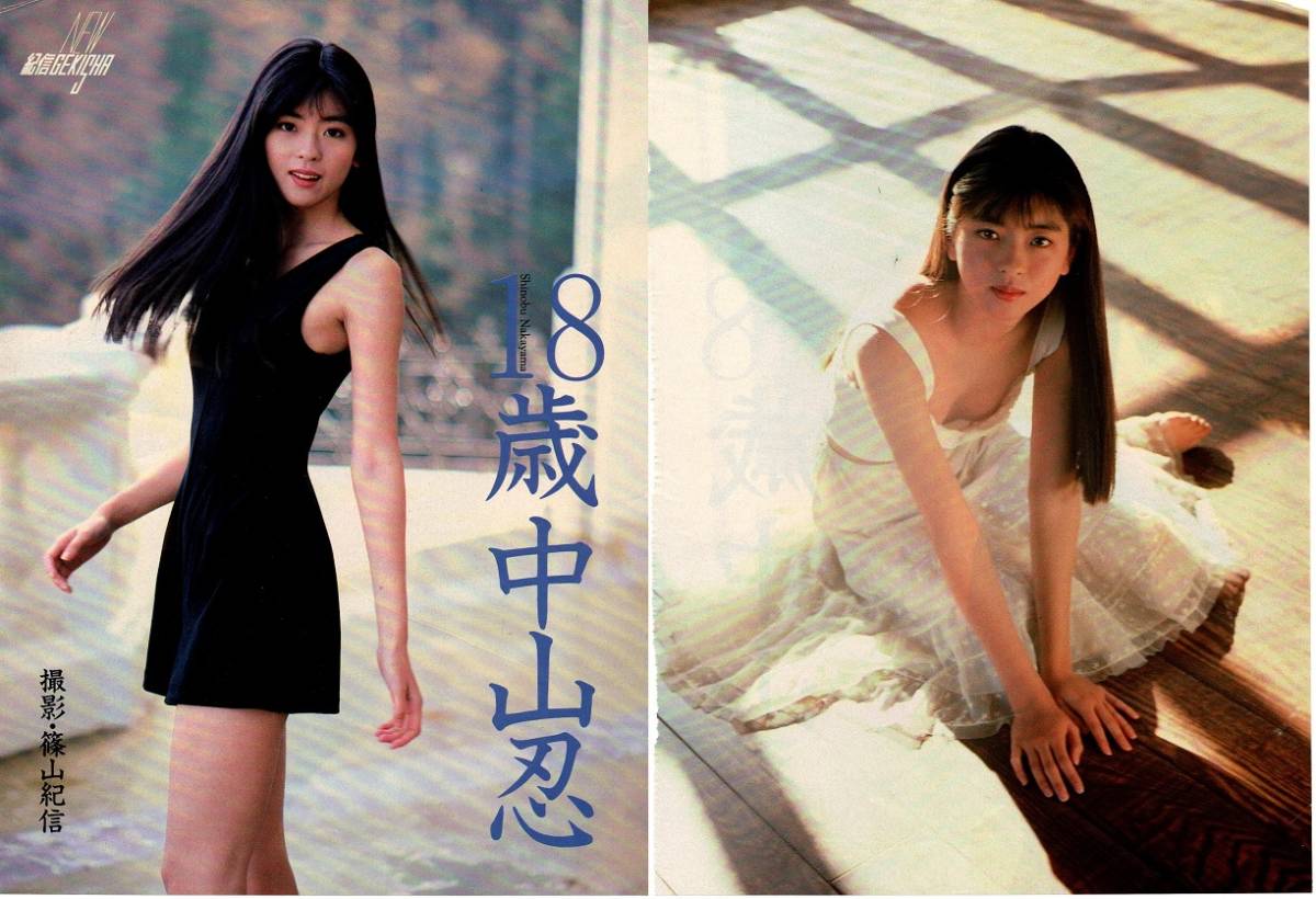 中山忍 切り抜きの値段と価格推移は 129件の売買情報を集計した中山忍 切り抜きの価格や価値の推移データを公開