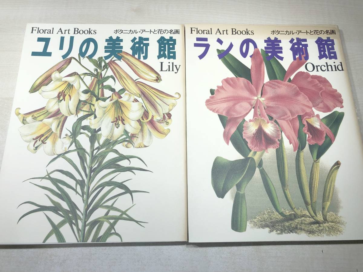 【絵画】ボタニカルアート「はまゆり」　原画 絵画】ボタニカルアート「はまゆり」 原画 ボタニカルアート ヤマユリ