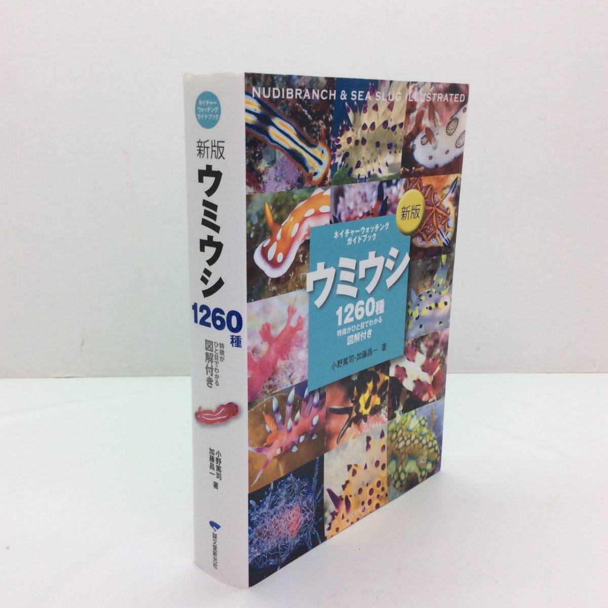 新版　ウミウシ 特徴がひと目でわかる図解付き 1260種 Amazon.co.jp: 新版 ウミウシ：特徴がひと目でわかる図解付き