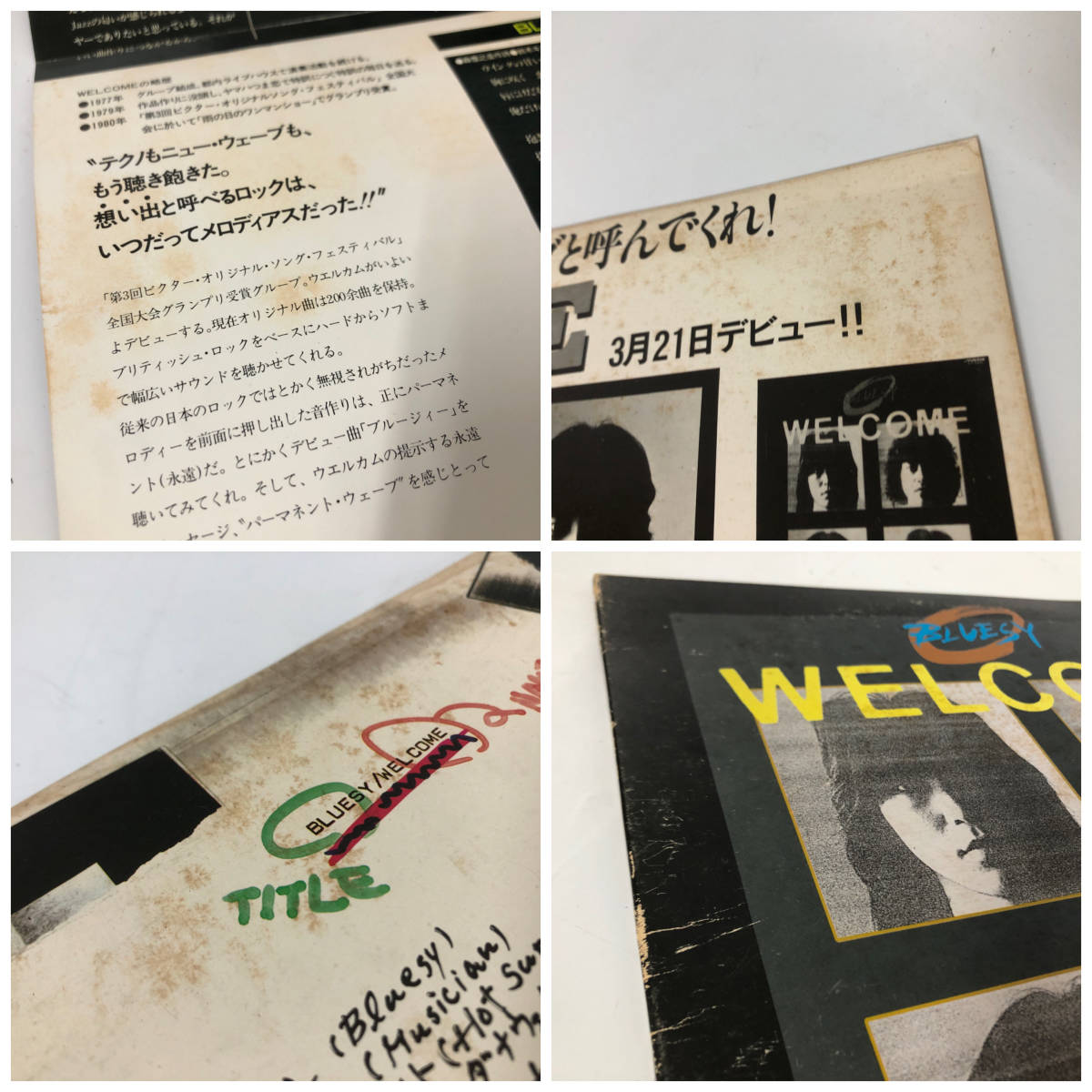 FI13/78 見本盤 白ラベル Bluesy ブルージィー LP レコード Welcome