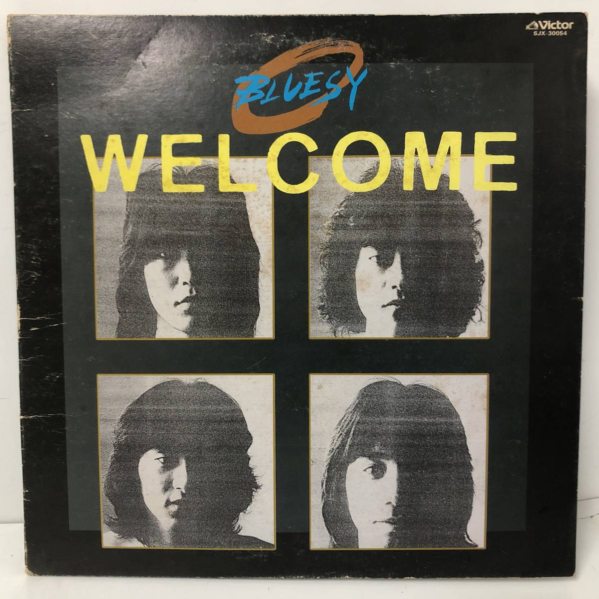 FI13/78 見本盤 白ラベル Bluesy ブルージィー LP レコード Welcome