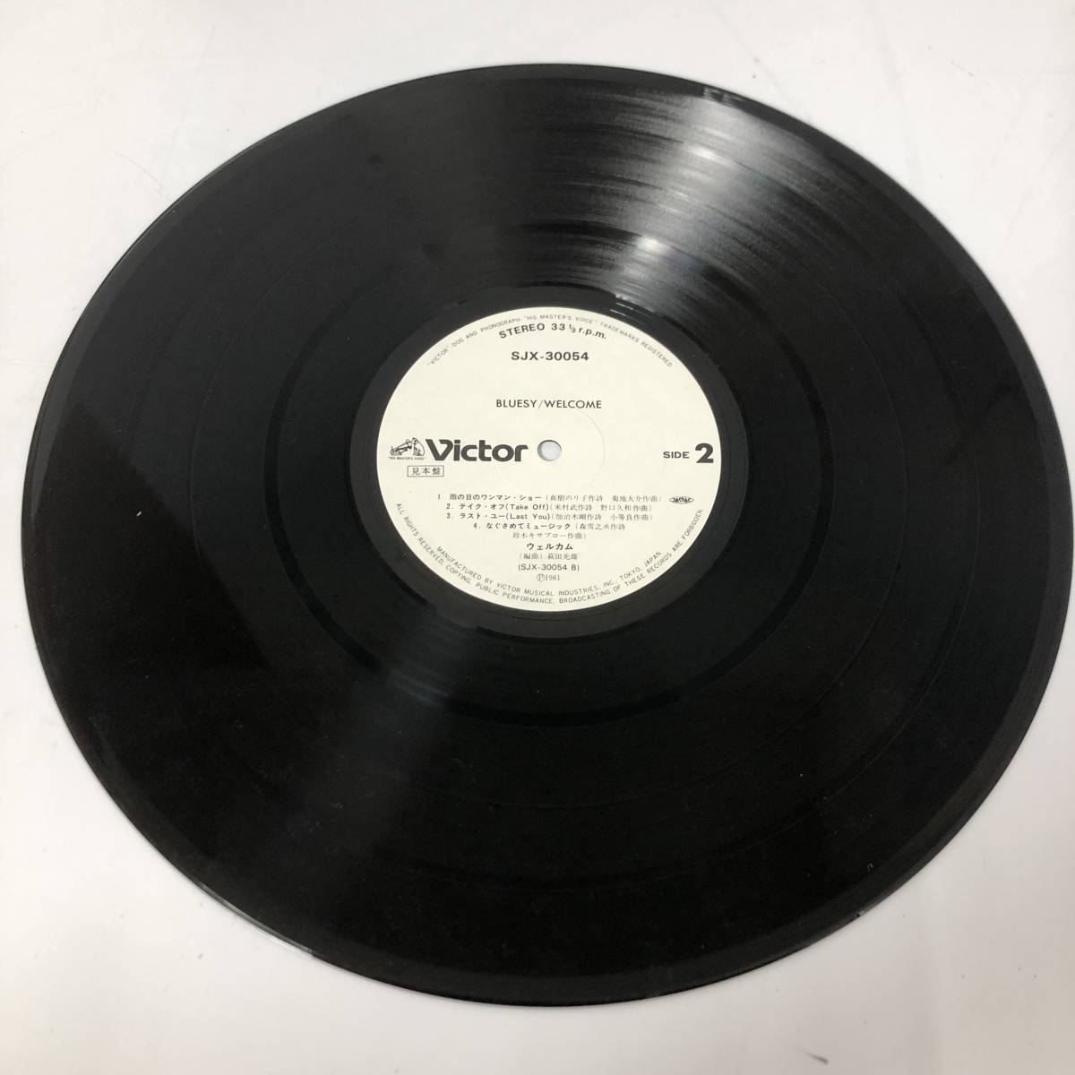 FI13/78 見本盤 白ラベル Bluesy ブルージィー LP レコード Welcome
