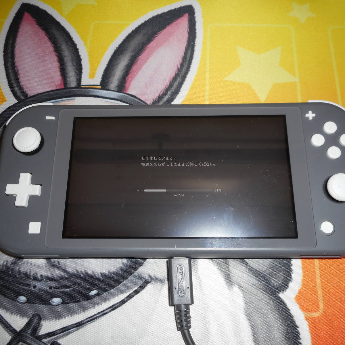 中古　ニンテンドースイッチライト　グレー
