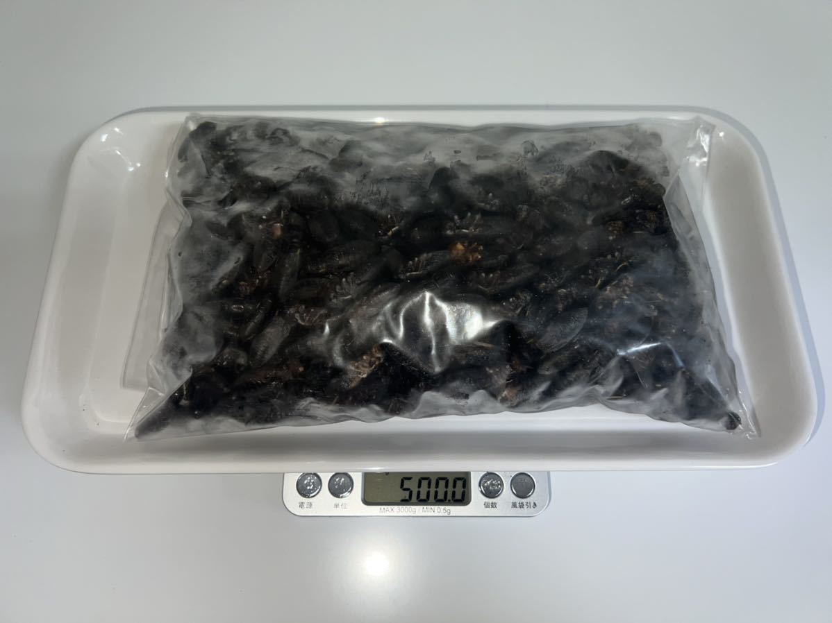 【定番，お買い得】 冷凍クロコオロギ サイズ:ML〜L 羽なし 500g 約650匹程(エサ)｜売買されたオークション情報、yahooの商品情報をアーカイブ公開 - オークファン エサ