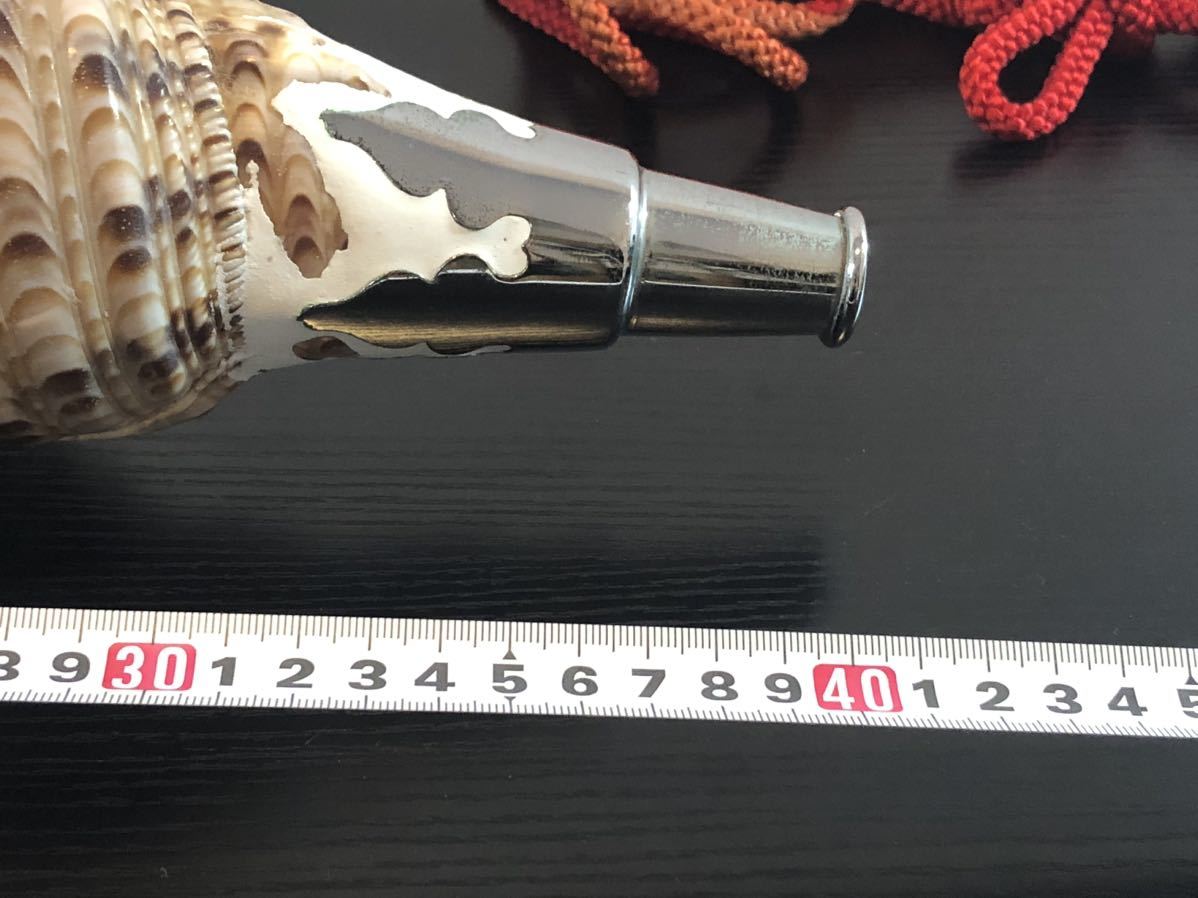 法螺貝 天然 笛 置物 ホラ貝 楽器 ほら貝34cm ほら貝 笛の通販