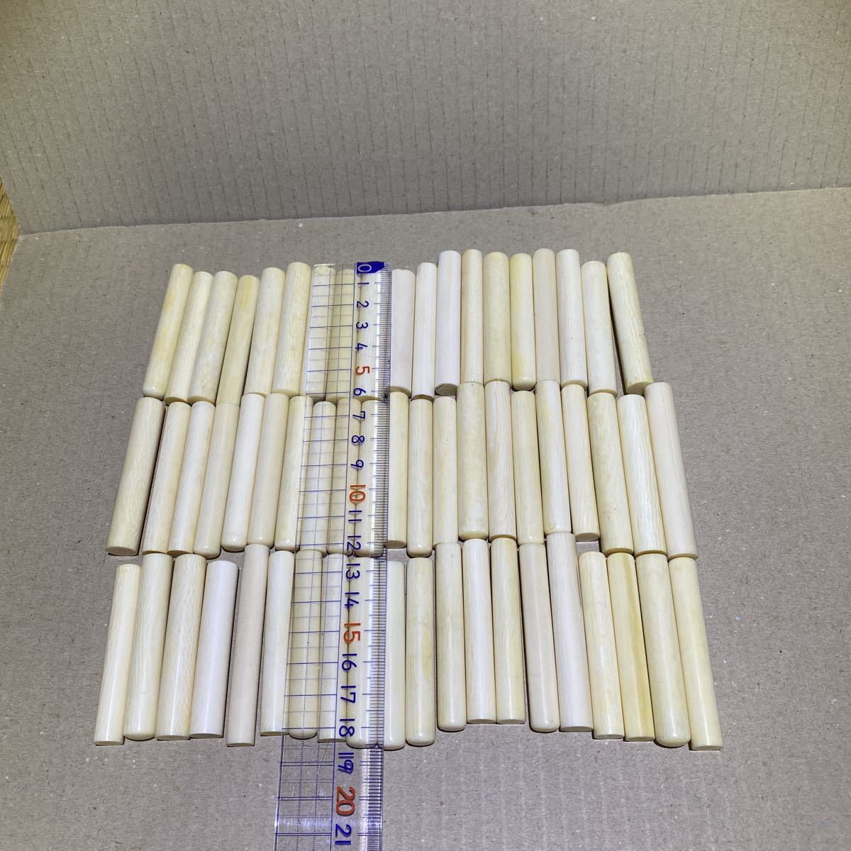 象牙風 マンモス マッコウ まとめ素材500g(科学、自然)｜売買された 