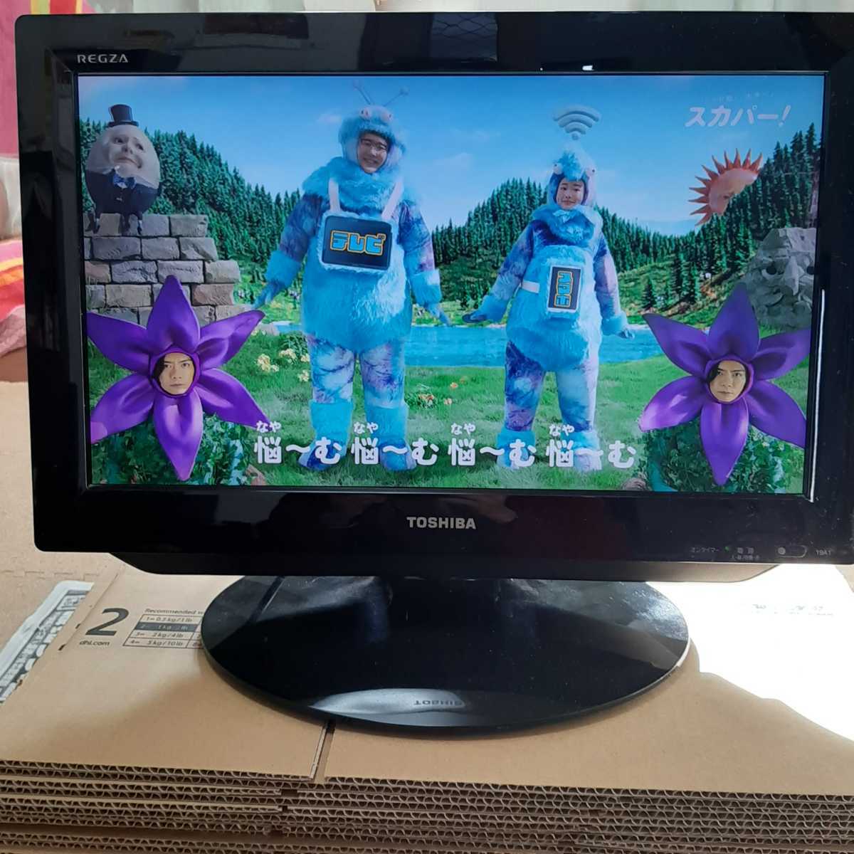 東芝 液晶カラーテレビ 19A1 東芝REGZA 19A1 19インチ液晶カラーテレビ