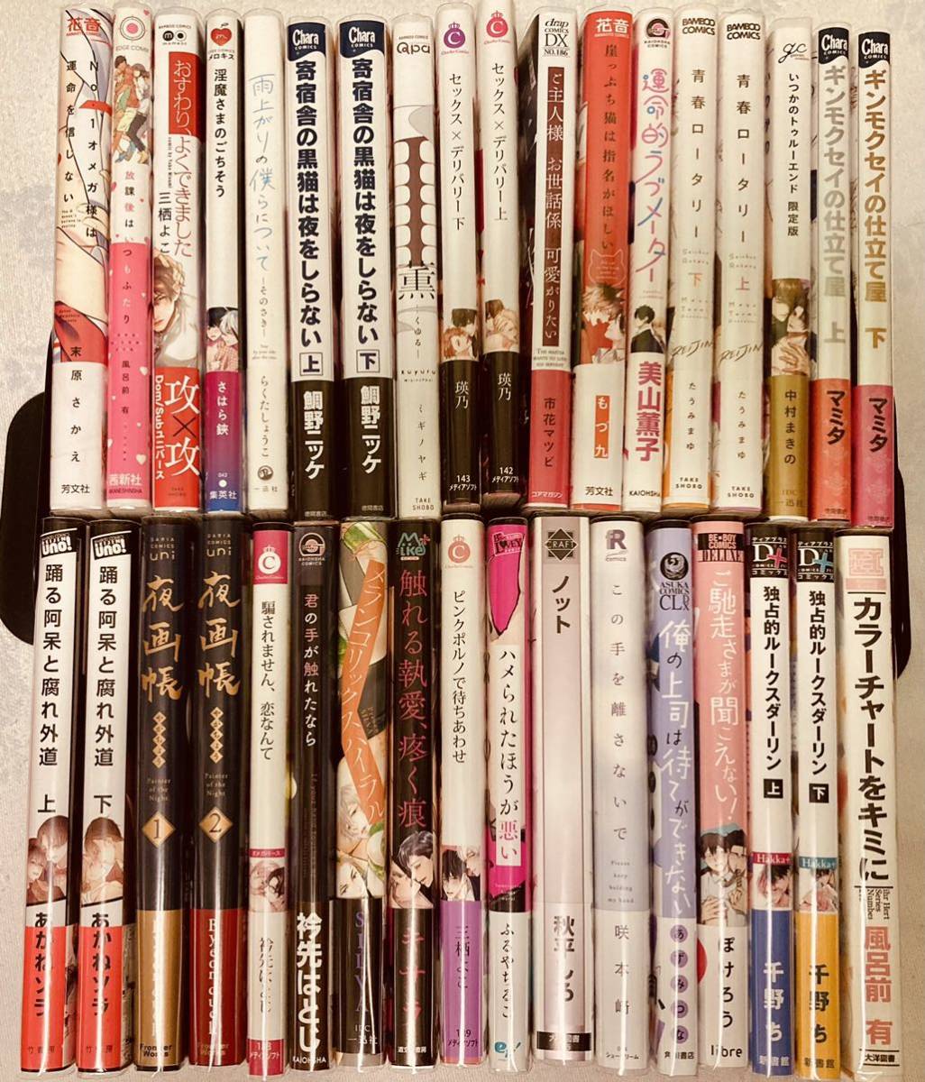 【人気SALE，正規品】 BLコミック 新古本 35冊 鯛野ニッケ ミギノヤギ 秋平しろ あかねソラ 他(ボーイズラブ)｜売買されたオークション情報、yahooの商品情報をアーカイブ公開 - オークファン ボーイズラブ