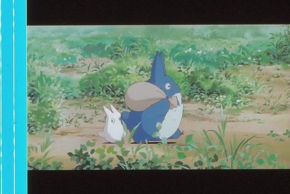 となりのトトロ 35mm映画フィルム 連続5コマ 宮崎駿 スタジオ