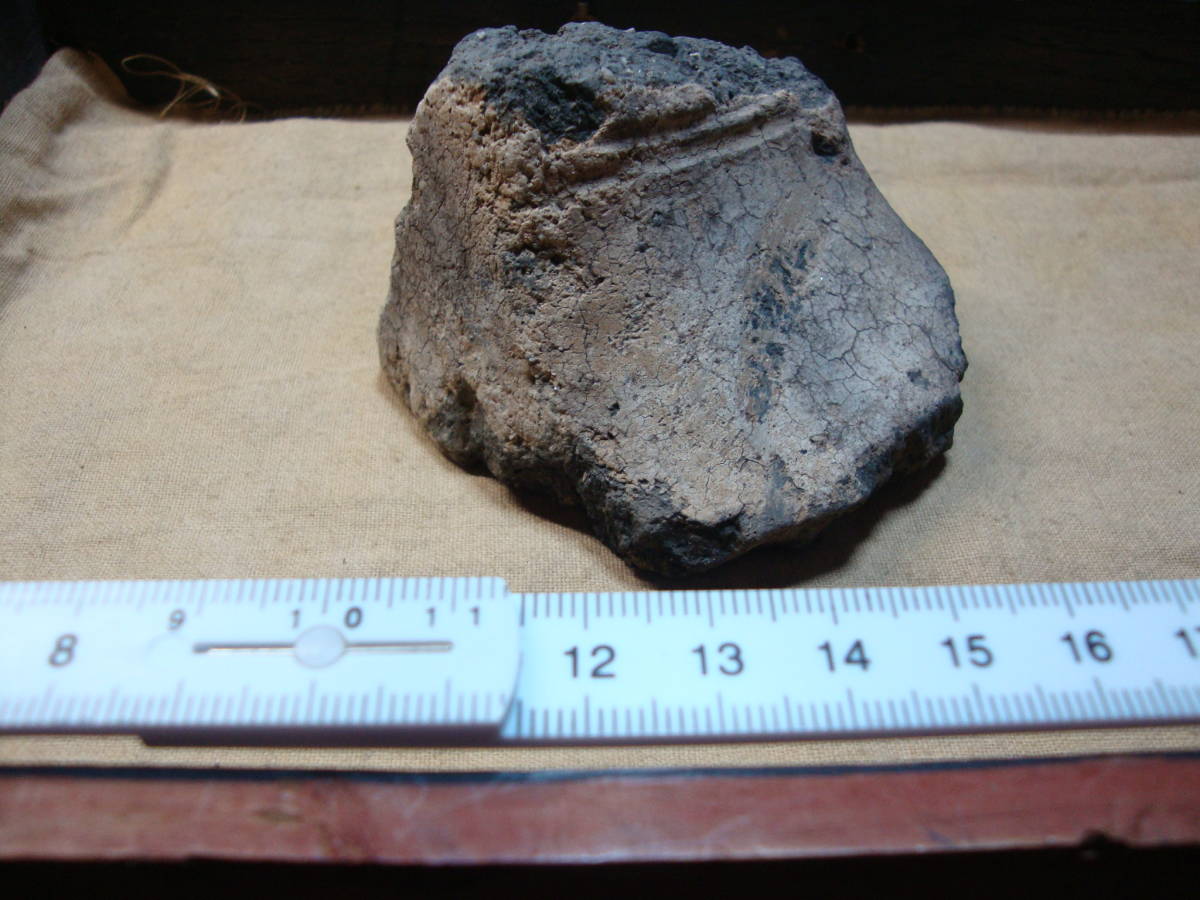 茅野市ホームページ 数千年前、地球上に初めて誕生した“美の土偶”の 