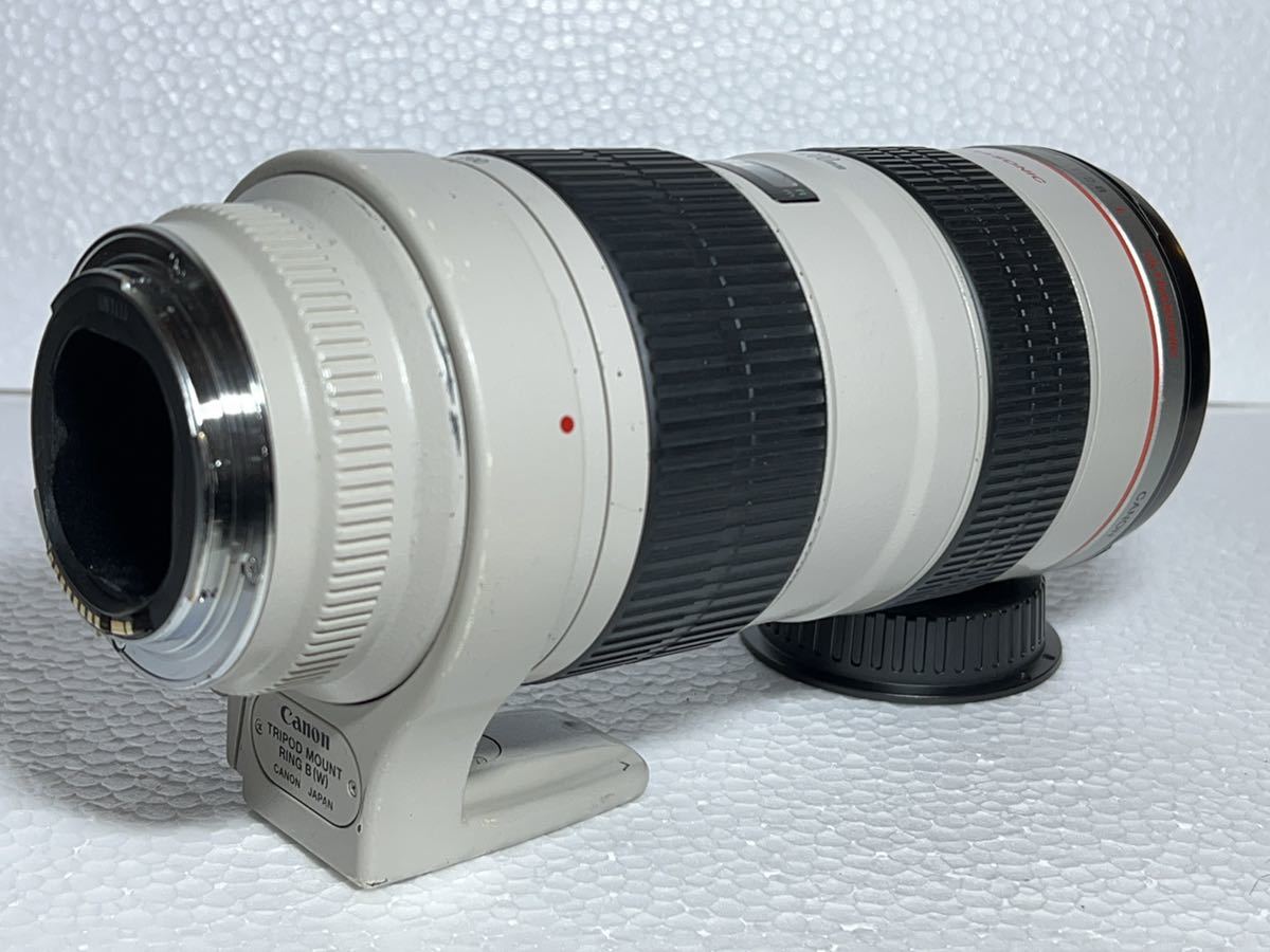 Canon 望遠ズームレンズ EF70-200mm F4.0L USM フルサイズ対応 買って 