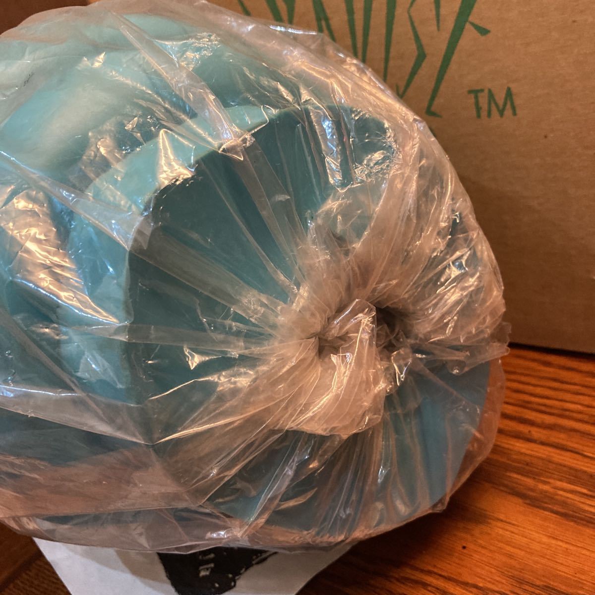 パラダイス 強殖装甲ガイバー 1/1 アートマスク ソフビキット 深町晶