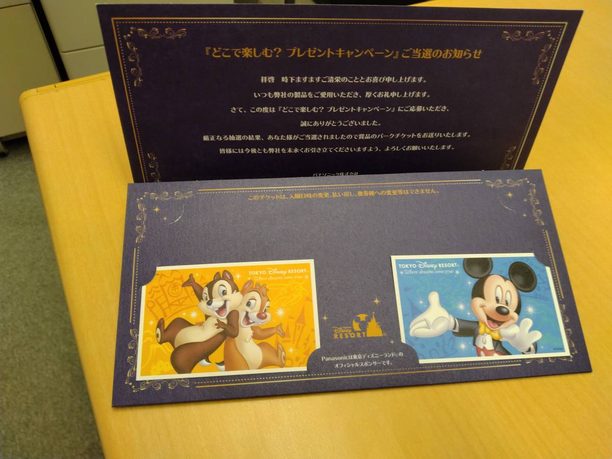 東京ディズニーランド　貸切　2名分 東京ディズニーランド 貸切パーティー チケット 2名 東京