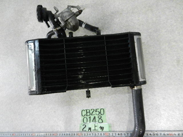0148 MC23 ジェイド250 ラジエーター 100サイズ ホンダ | 1STSSS.COM