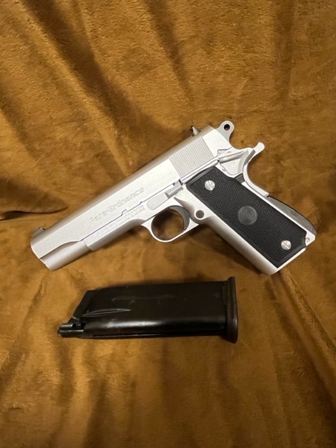 パラオーディナンスP14・45 シルバー ウエスタンアームズ】パラオーディナンス P14・45 シルバー