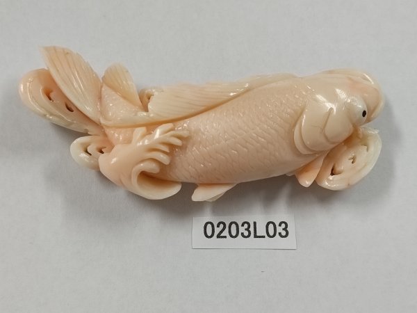 0203L03　本珊瑚　サンゴ　帯留　彫刻品　約56.7ｇ