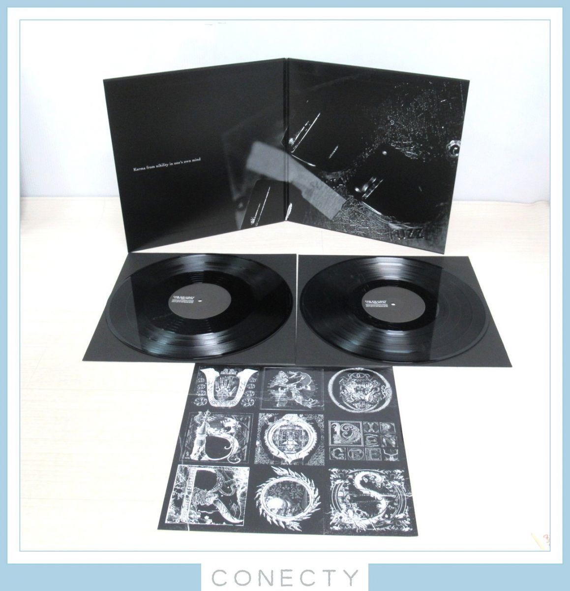 稀少 完全生産限定盤 帯付 2CD+DVD+2LP DIR EN GREY ディルアングレイ