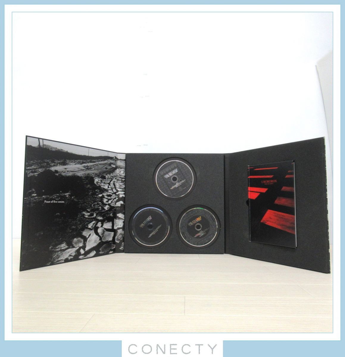 稀少 完全生産限定盤 帯付 2CD+DVD+2LP DIR EN GREY ディルアングレイ