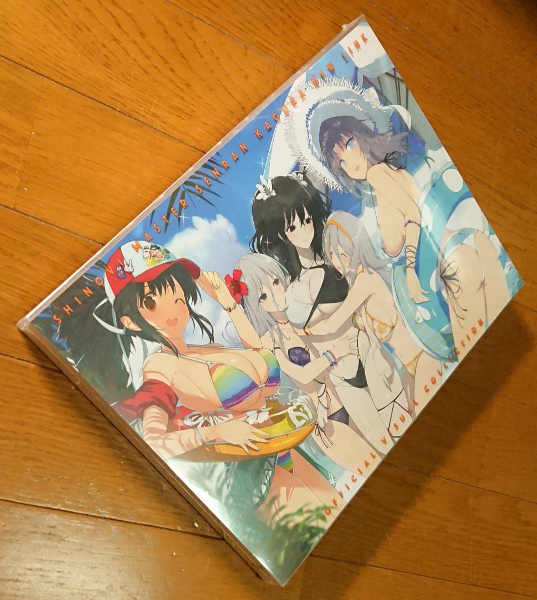 シノビマスター 閃乱カグラ 閃乱カグラTEN 公式サイト SENRAN 閃乱