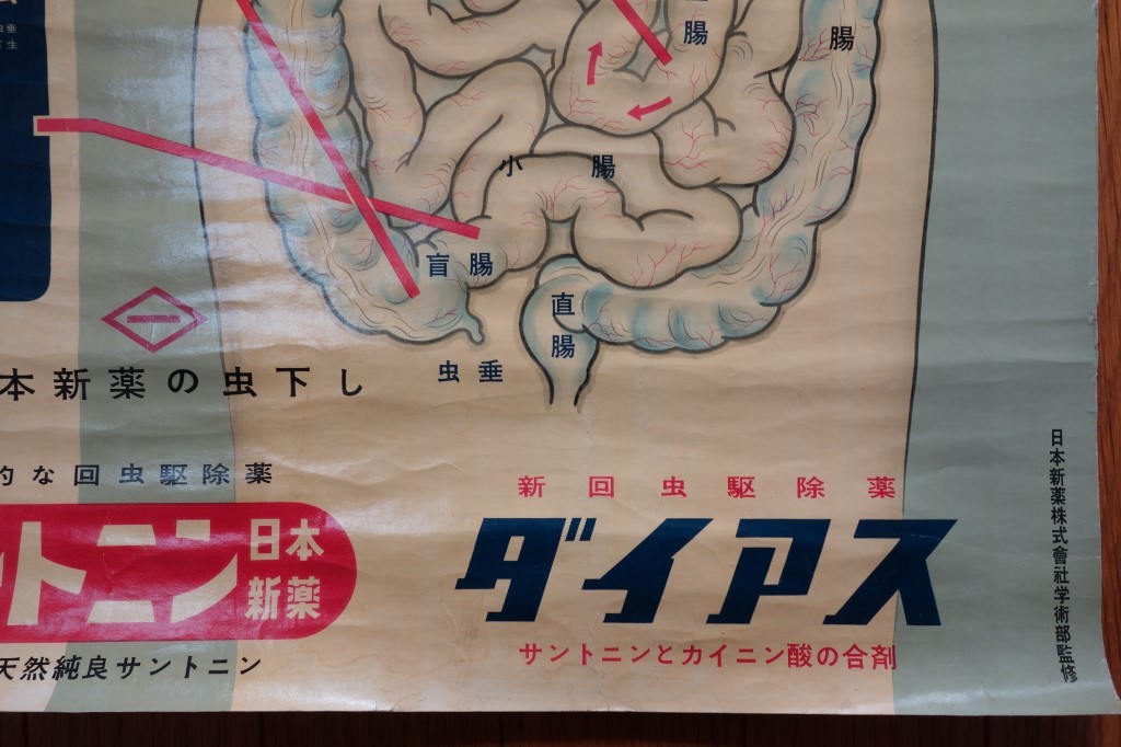 古い薬局薬店ポスター【主な人体寄生虫 新回虫駆除薬ダイアス 