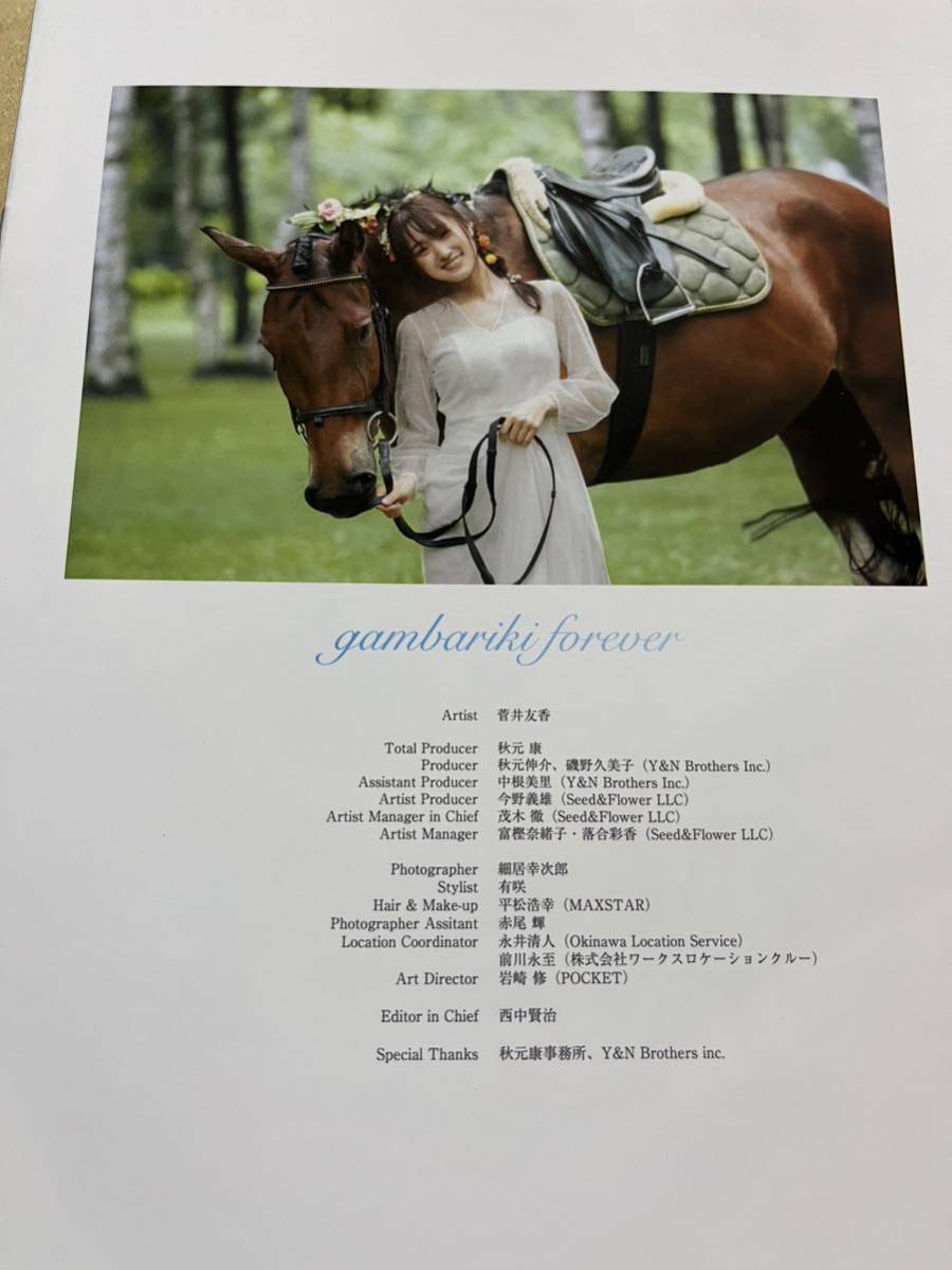 菅井友香 大切なもの 写真集 アザーカット ミニブック（抽プレ