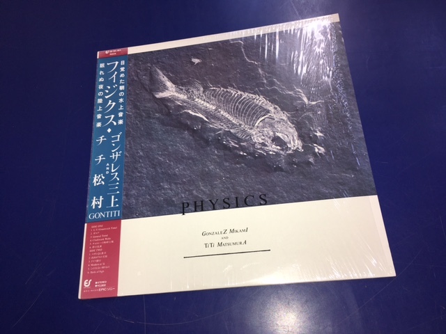 LPレコード●ゴンチチ Gontiti / Physics フィジクス