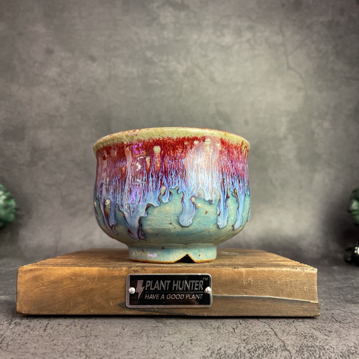 B422 Mサイズ 植木鉢 陶器 検（invisible ink raw life factory SRL